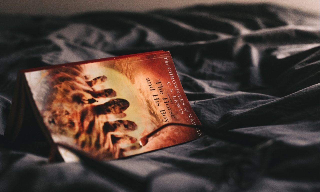 Fiction Teaches Me How to Feel